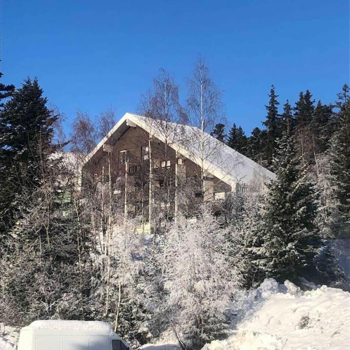 Residence Les Martinets, Grand Studio Vue Degagee, 4 Couchages, Cellier, Meuble De Tourisme 3 Etoiles, Parking Gratuit Chamrousse Esterno foto